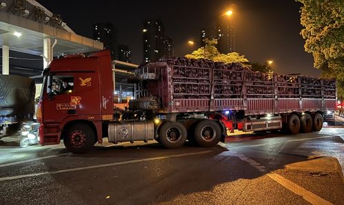 严守中的 复市 杭州农副产品物流中心三大市场今晨重启