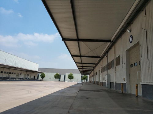 招商局物流集团 天津  金加利分发中心招租 天津市国际货运代理协会