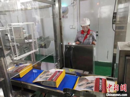 山东掘金 互联网 宠物 宠物经济掀吸金热潮