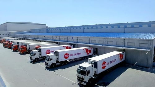 思念食品国际化进程稳步推进,多项权威认证加持构建品质标准