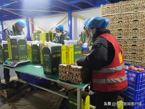 番茄用上红酒包装 菜鸟物流科技促农产品降本增效120多倍